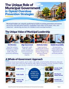 Preview of Municipal Government Role & Roadmap